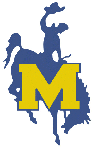 McNeese State Cowboys 1987-2003 Primary Logo diy DTF decal sticker